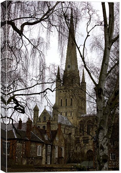 View to Norwich Cathedral Canvas Print by Darren Burroughs