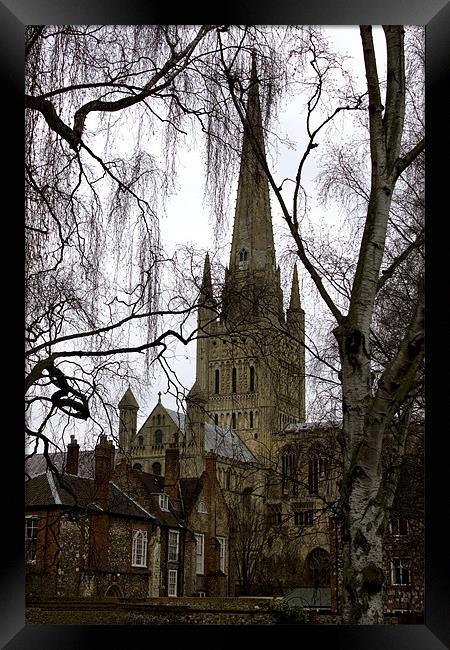 View to Norwich Cathedral Framed Print by Darren Burroughs