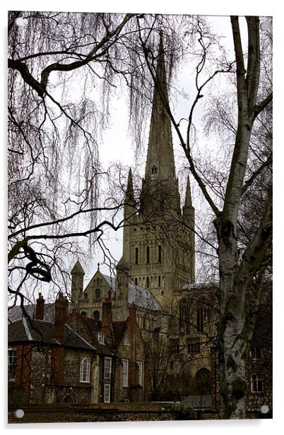 View to Norwich Cathedral Acrylic by Darren Burroughs