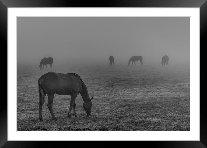 Horses in the mist Framed Mounted Print by Martin Bowra
