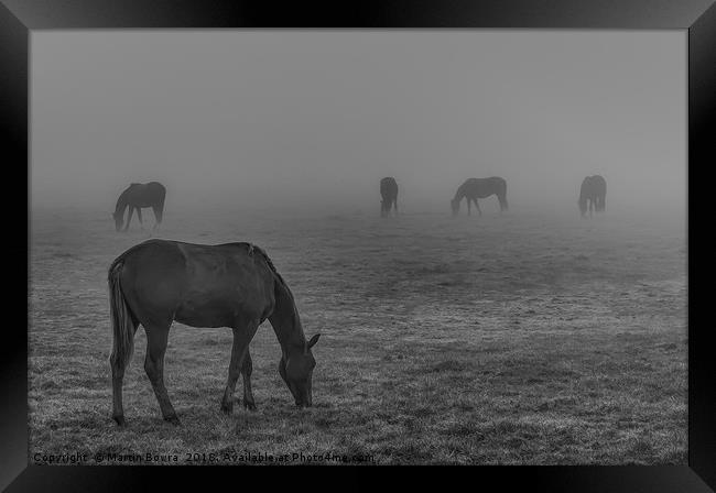 Horses in the mist Framed Print by Martin Bowra