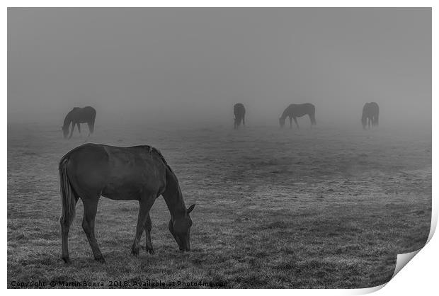Horses in the mist Print by Martin Bowra