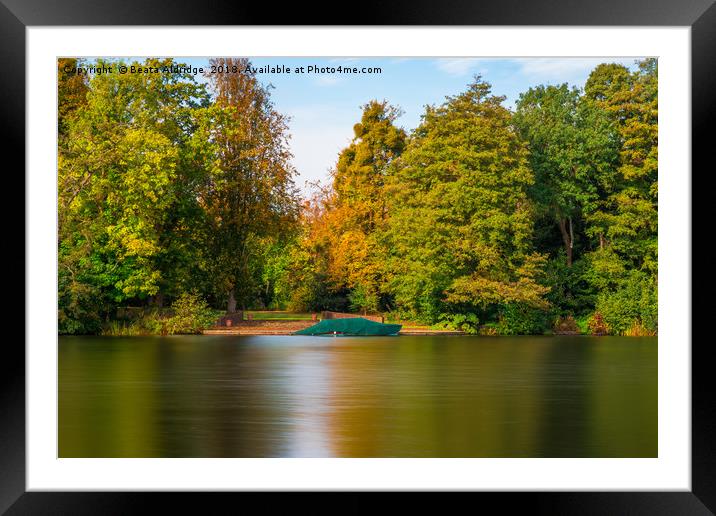 Autumn lake in Virginia Water Framed Mounted Print by Beata Aldridge