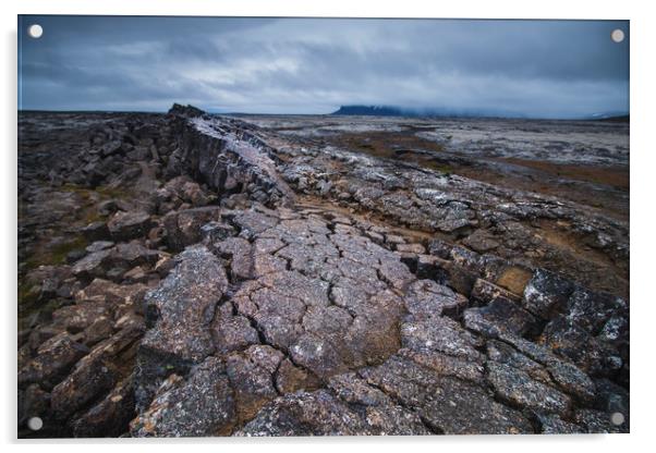 Hallmundarhraun lava field Acrylic by Dalius Baranauskas