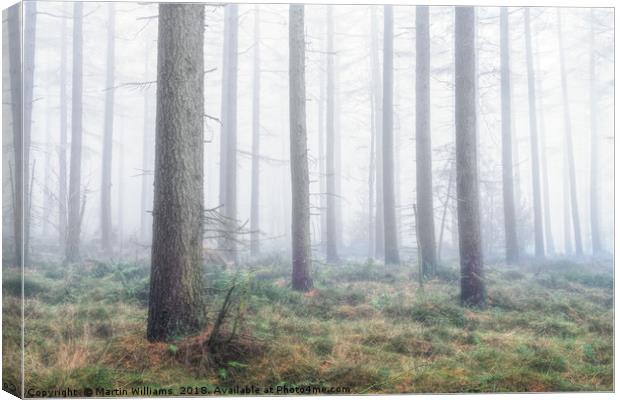 Misty Wood - North York Moors Canvas Print by Martin Williams