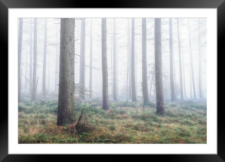 Misty Wood - North York Moors Framed Mounted Print by Martin Williams