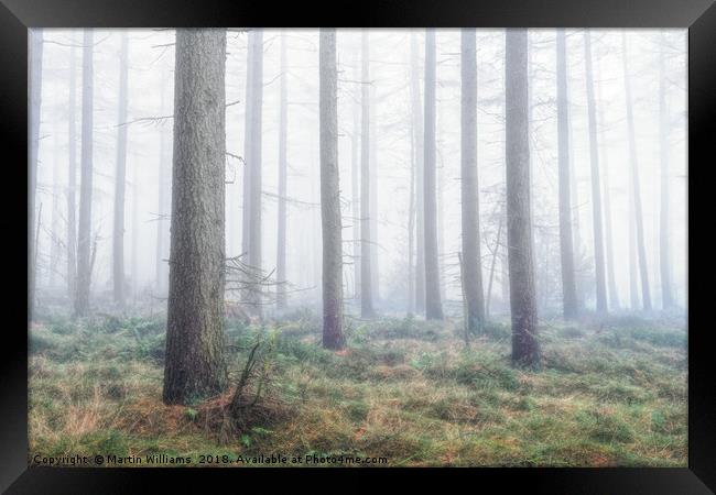 Misty Wood - North York Moors Framed Print by Martin Williams