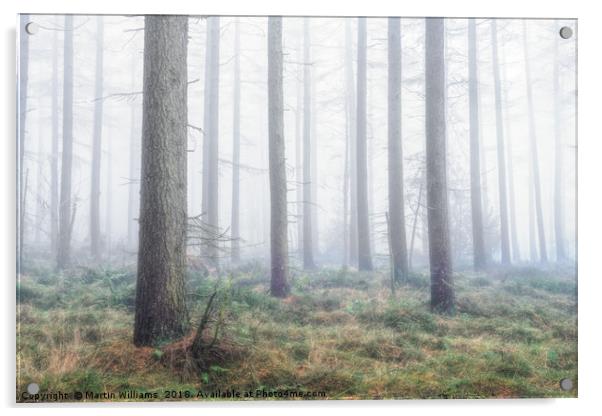 Misty Wood - North York Moors Acrylic by Martin Williams