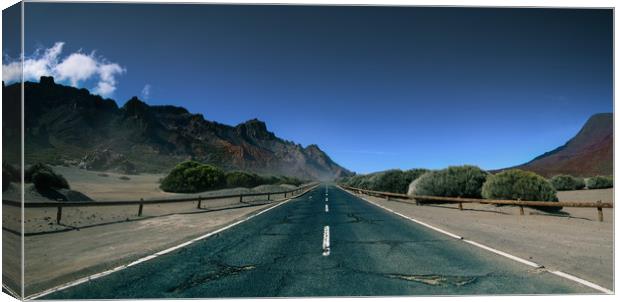 Road in Tenerife island to Teide vulcano Canvas Print by Dalius Baranauskas