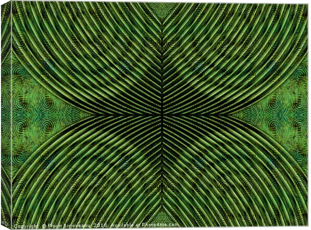 Mused Deformation Green Canvas Print by Florin Birjoveanu