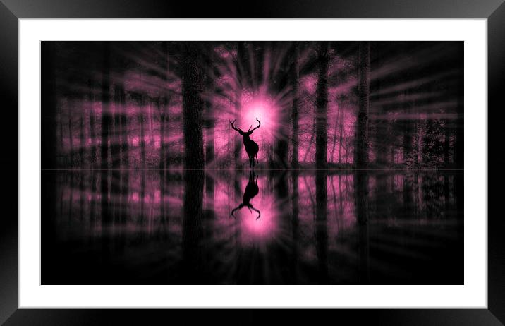 The Deer Framed Mounted Print by Carl Johnson