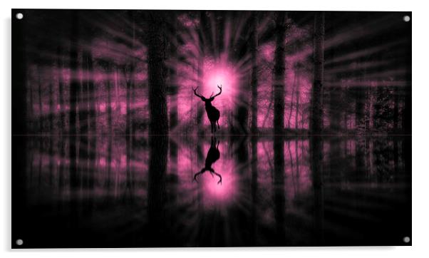 The Deer Acrylic by Carl Johnson