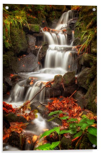 Clyne Gardens waterfall cascade Acrylic by Leighton Collins