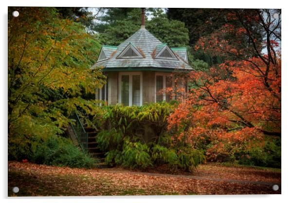 Autumn at Clyne Gardens Acrylic by Leighton Collins