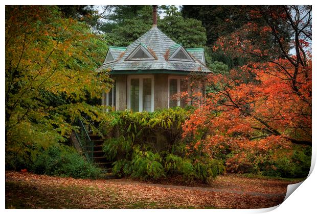 Autumn at Clyne Gardens Print by Leighton Collins