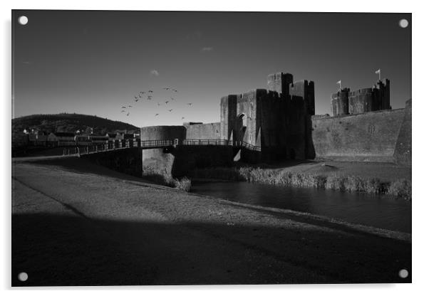 Caerphilly Castle gatehouse                        Acrylic by jason jones