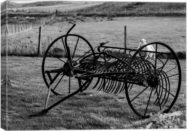 Old Plough Canvas Print by Gary Ford