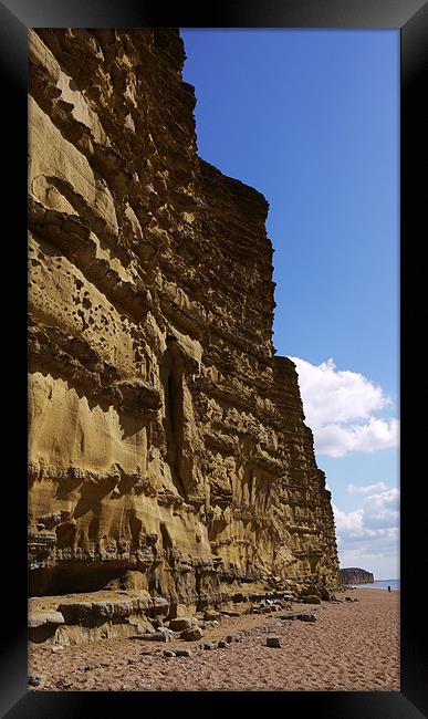 Jurassic Coast Cliffs Framed Print by Louise Godwin