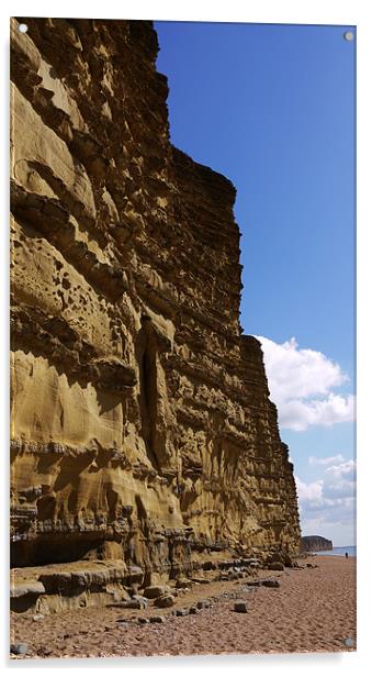 Jurassic Coast Cliffs Acrylic by Louise Godwin