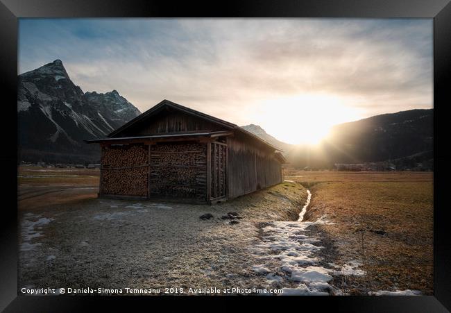 Barn with firewood at sunset in the Alps Framed Print by Daniela Simona Temneanu
