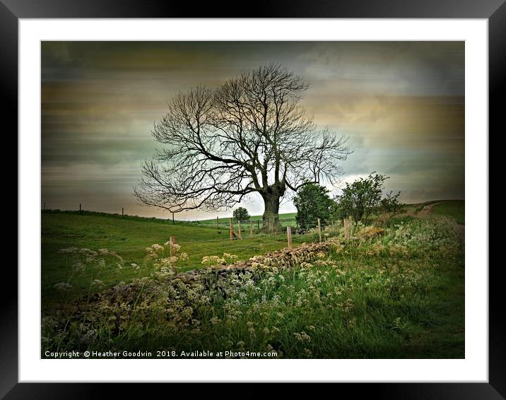 Country Roads Framed Mounted Print by Heather Goodwin
