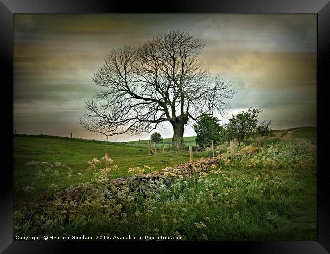 Country Roads Framed Print by Heather Goodwin