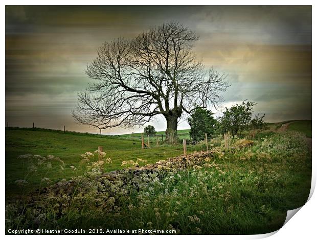 Country Roads Print by Heather Goodwin