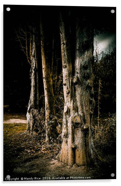 Tree trunks at night Acrylic by Mandy Rice