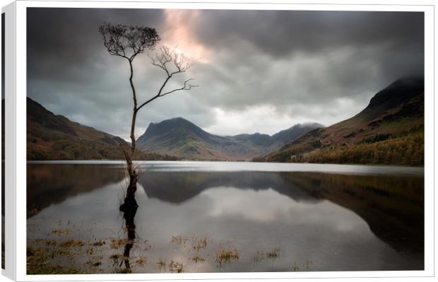 Lone Tree Canvas Print by Paul Andrews