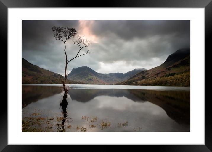 Lone Tree Framed Mounted Print by Paul Andrews