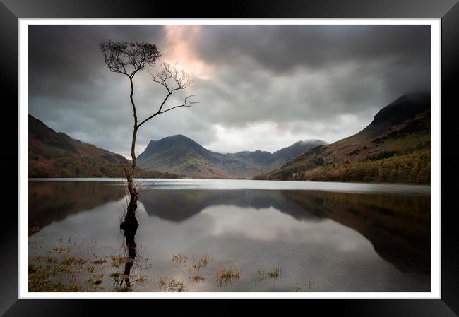 Lone Tree Framed Print by Paul Andrews