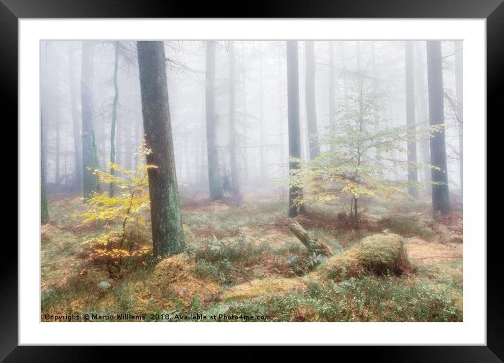Misty Wood - Hiding from Mum Framed Mounted Print by Martin Williams