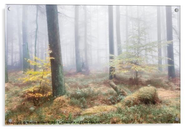 Misty Wood - Hiding from Mum Acrylic by Martin Williams