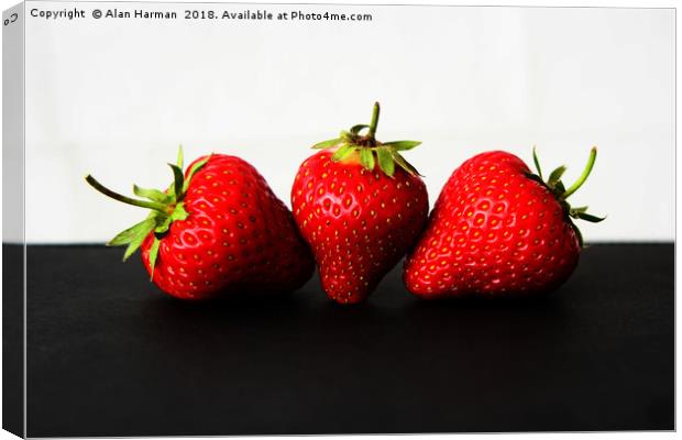 Strawberries On White Over Black Canvas Print by Alan Harman