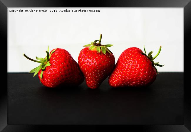 Strawberries On White Over Black Framed Print by Alan Harman