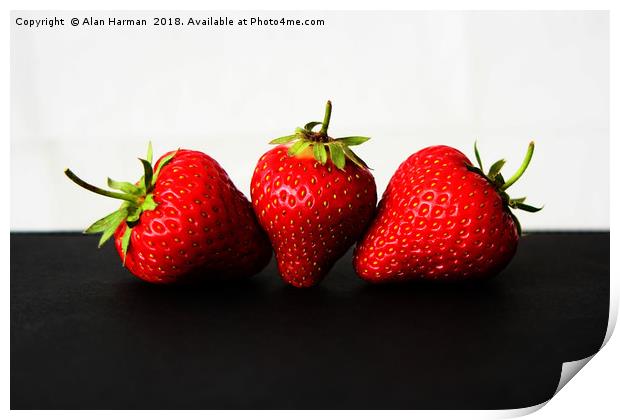 Strawberries On White Over Black Print by Alan Harman