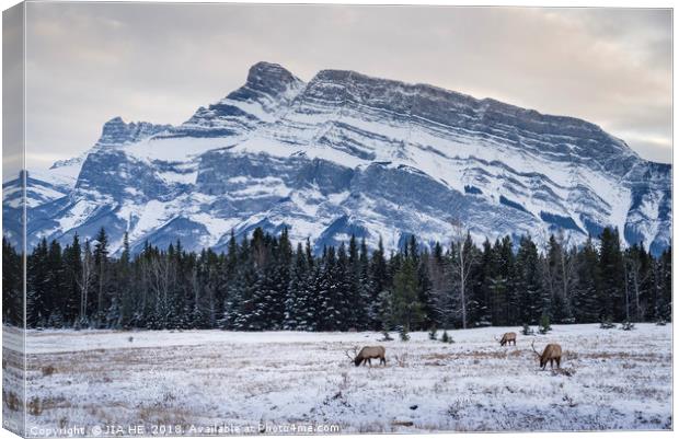 Banff National Park landscape Canvas Print by JIA HE