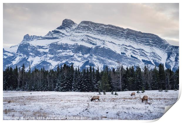 Banff National Park landscape Print by JIA HE