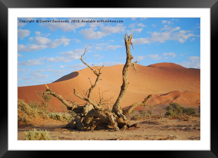 Dead tree in the namib desert Framed Mounted Print by Damien Zasikowski