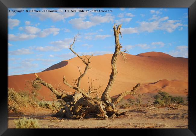 Dead tree in the namib desert Framed Print by Damien Zasikowski