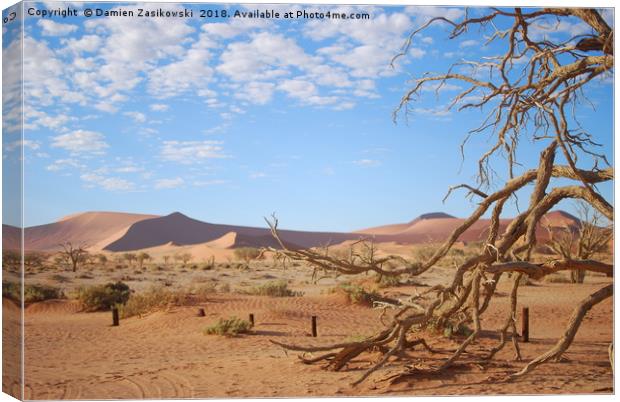 Dead tree in the namib desert Canvas Print by Damien Zasikowski