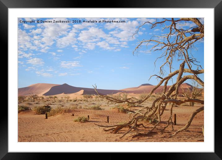 Dead tree in the namib desert Framed Mounted Print by Damien Zasikowski