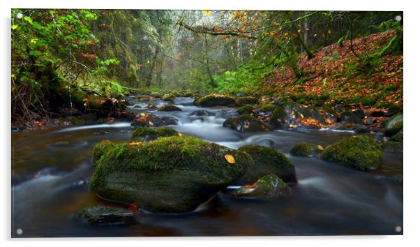 Reelig Glen Acrylic by Macrae Images