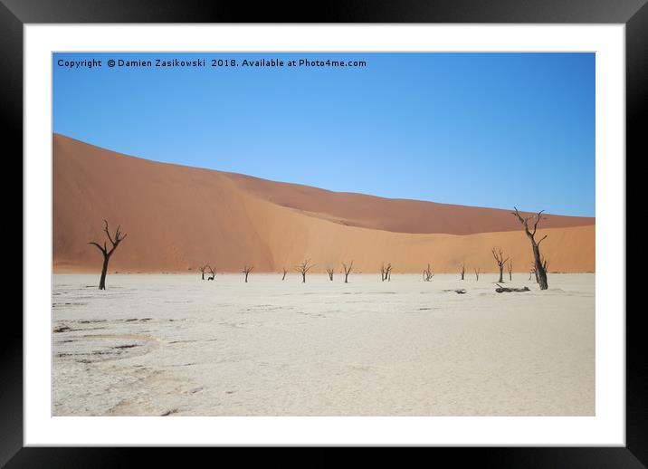 Charred desert treescape Framed Mounted Print by Damien Zasikowski