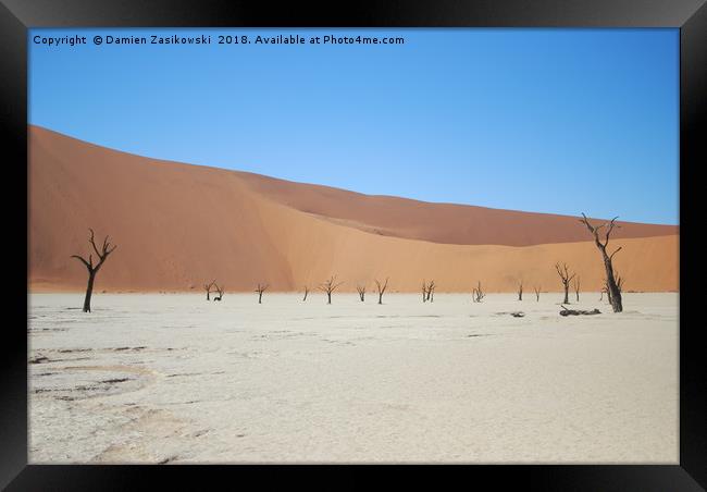 Charred desert treescape Framed Print by Damien Zasikowski