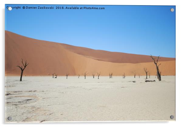 Charred desert treescape Acrylic by Damien Zasikowski