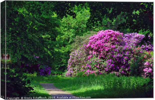 Amazing Rhododendron in the Park Canvas Print by Gisela Scheffbuch