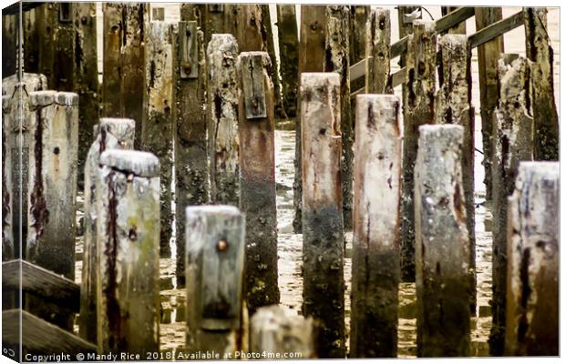 Delapidated pier struts Canvas Print by Mandy Rice