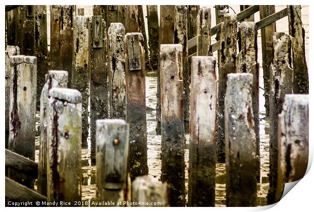 Delapidated pier struts Print by Mandy Rice