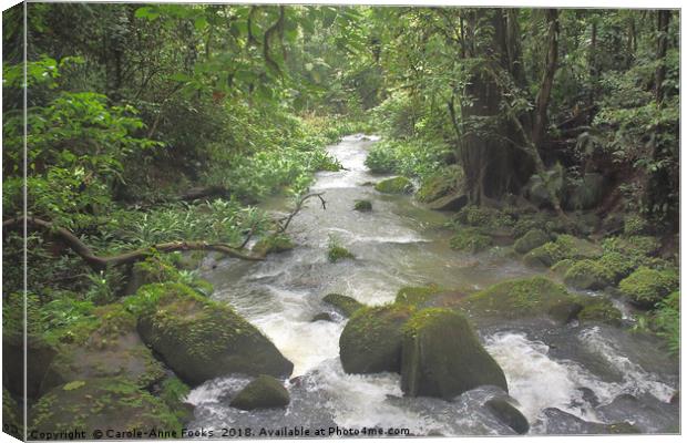 Sarapiqui River Canvas Print by Carole-Anne Fooks